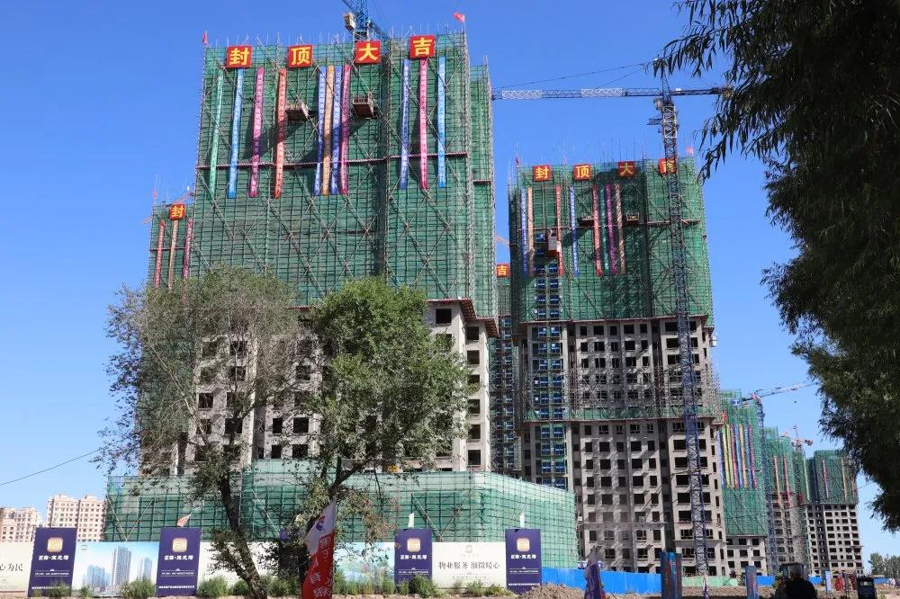 1598581031102475.jpg 44.jpg