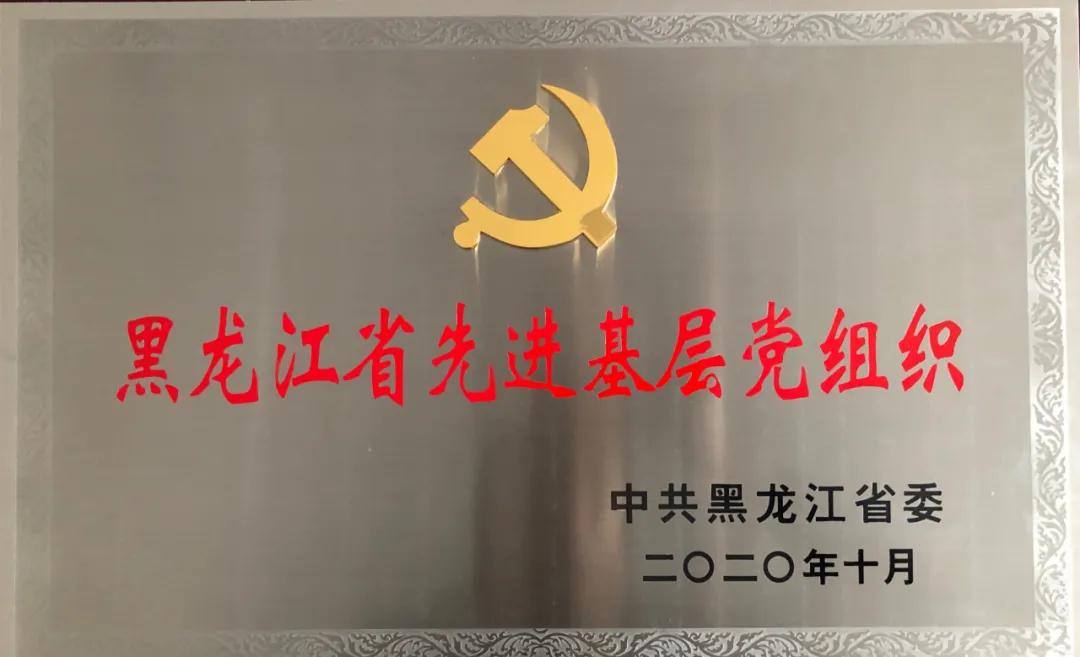 1605080782132916.jpg 47.jpg